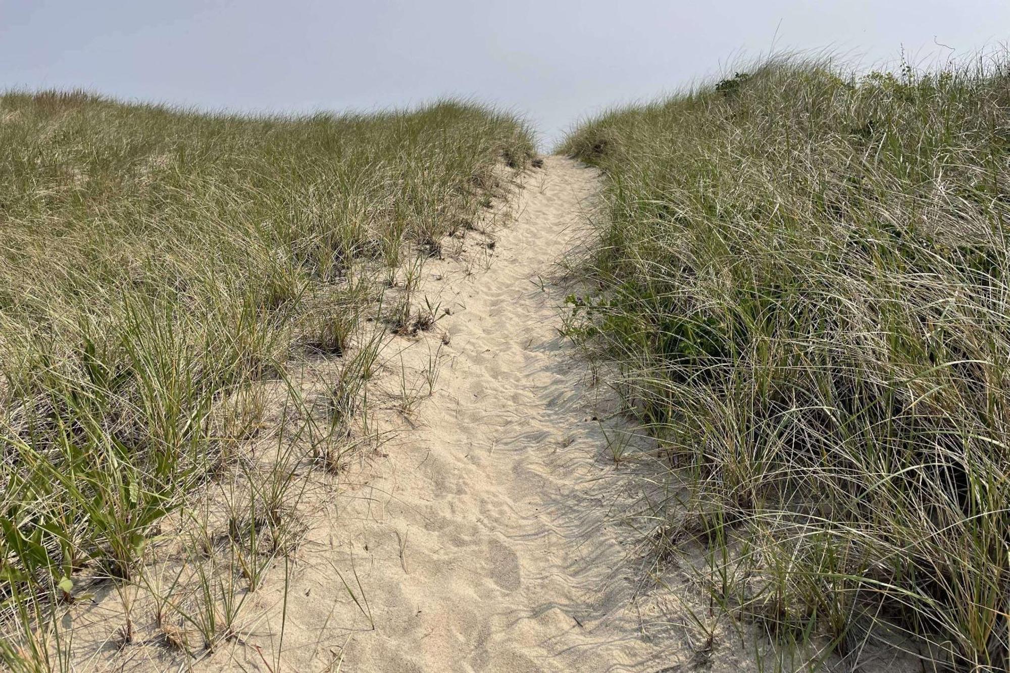 Sandy Clydesdale: Sagamore Beach Sandwich Villa ภายนอก รูปภาพ